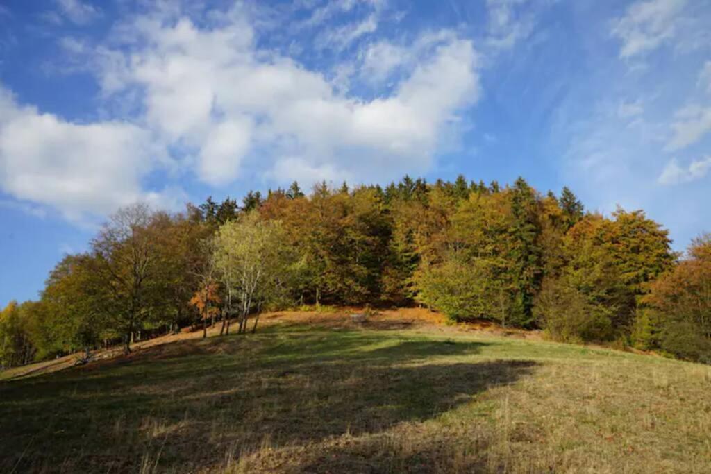 Ruhiges Ferienhaus Am Waldrand Mit Sauna Und Kamin - Hellaberg II Langenbach  المظهر الخارجي الصورة